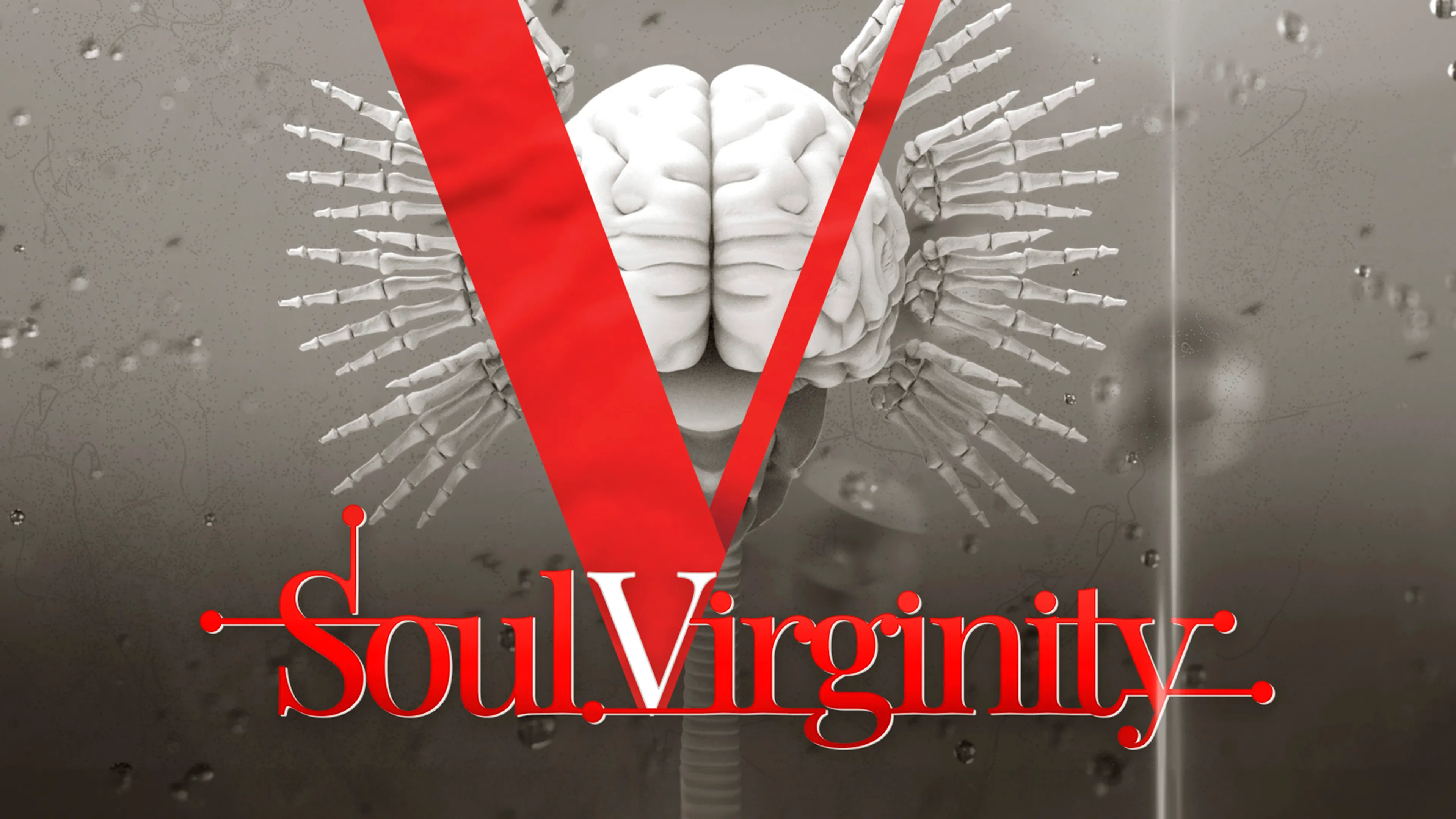 Soul Virginity poster